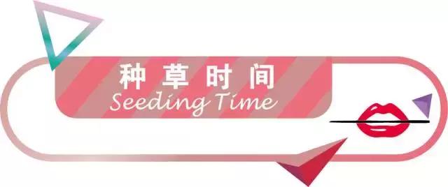 不超过100块钱的平价眼影盘推荐,推荐一款今年超火的眼影盘