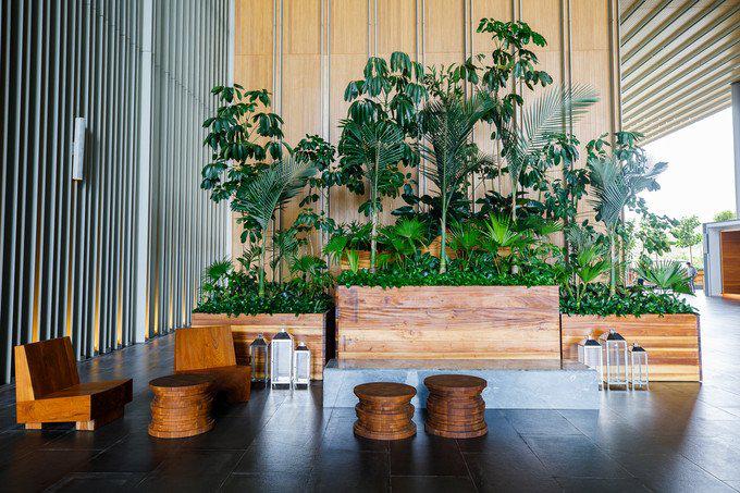 带父母去三亚游玩攻略,爸妈三亚旅游攻略