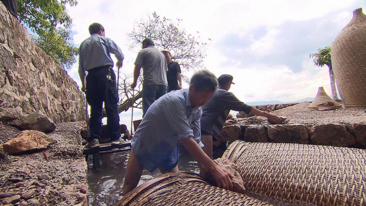 不用网不用钩就能捕到鱼？答案就在这里