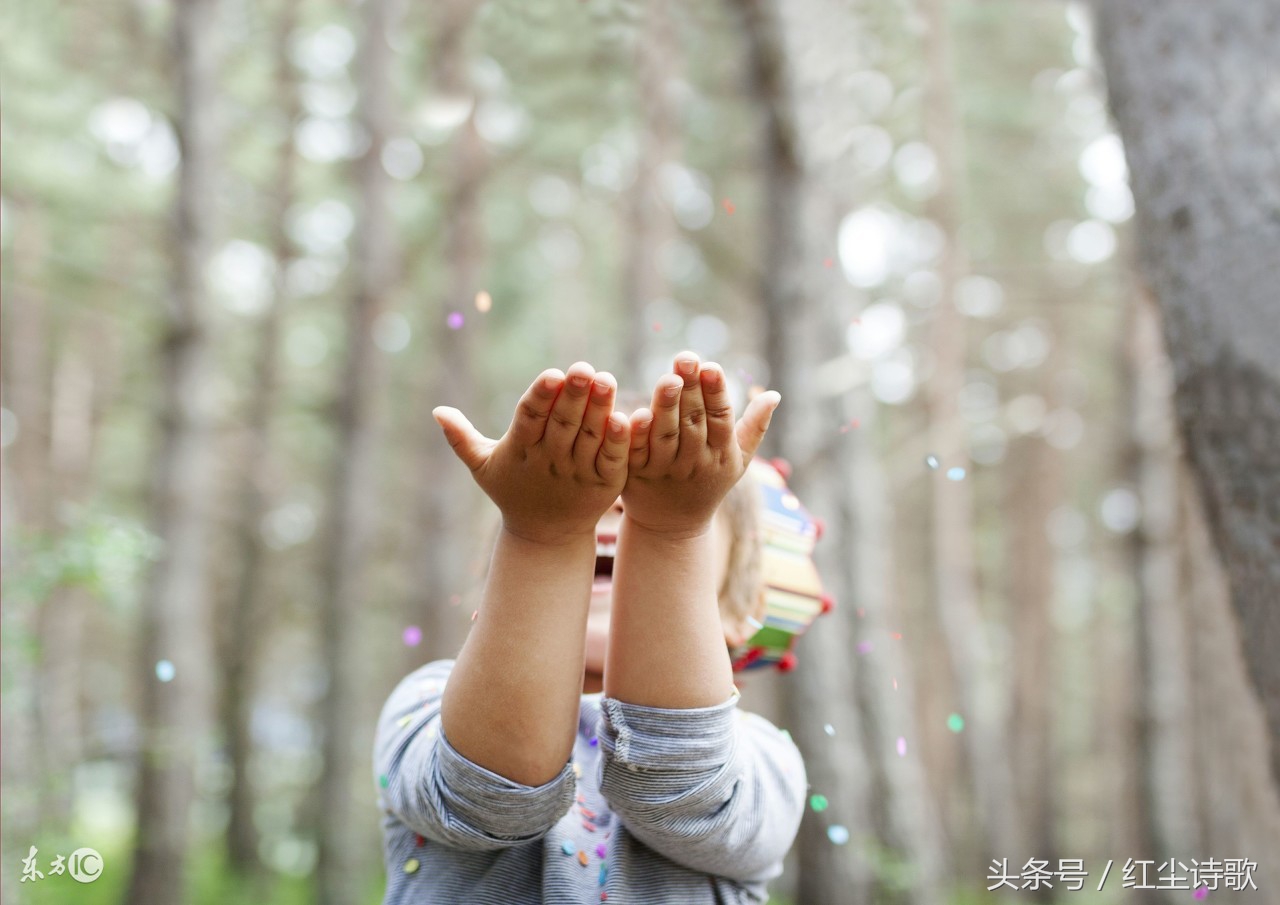 云南女诗人,诗歌女诗人