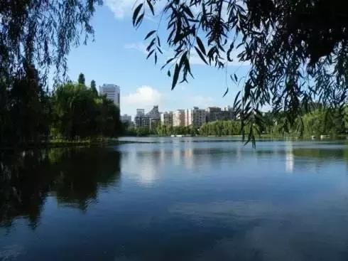 倒计时43天！武汉首条高富帅专列地铁下月就要通车啦！