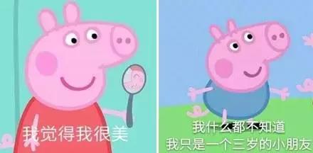 小猪佩奇最反映人性的一集,是不是小猪佩奇都有这样的表情