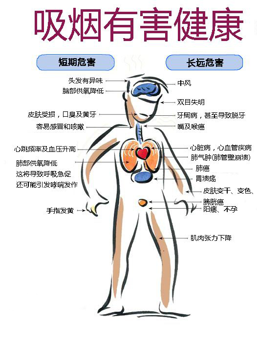 医者仁心吸烟有害健康,吸烟的致病率