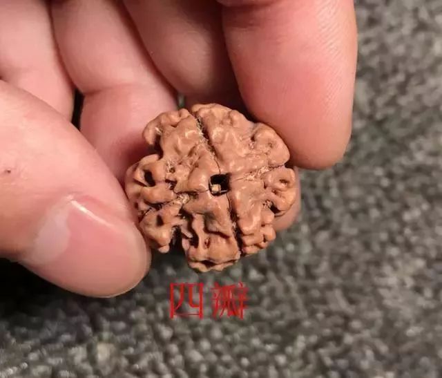 怎样区分打药的金刚菩提,金刚菩提怎么鉴别值钱