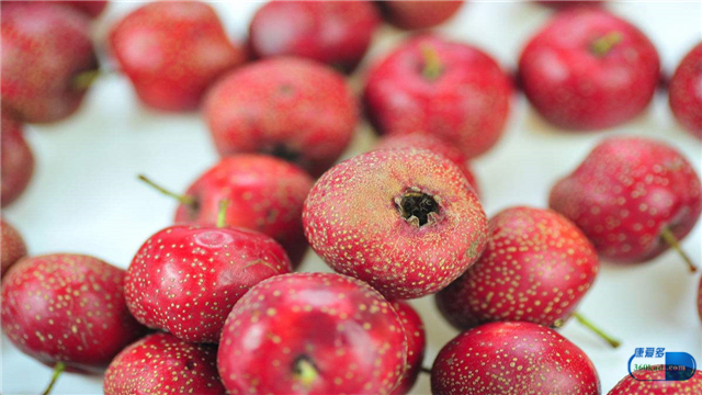 大量食用山楂能治啥病,山楂泡水喝对什么病效果最好呢