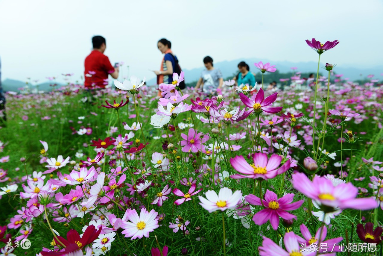冬季手脚容易冻伤的朋友有了这小方法再也不用受冻疮煎熬了