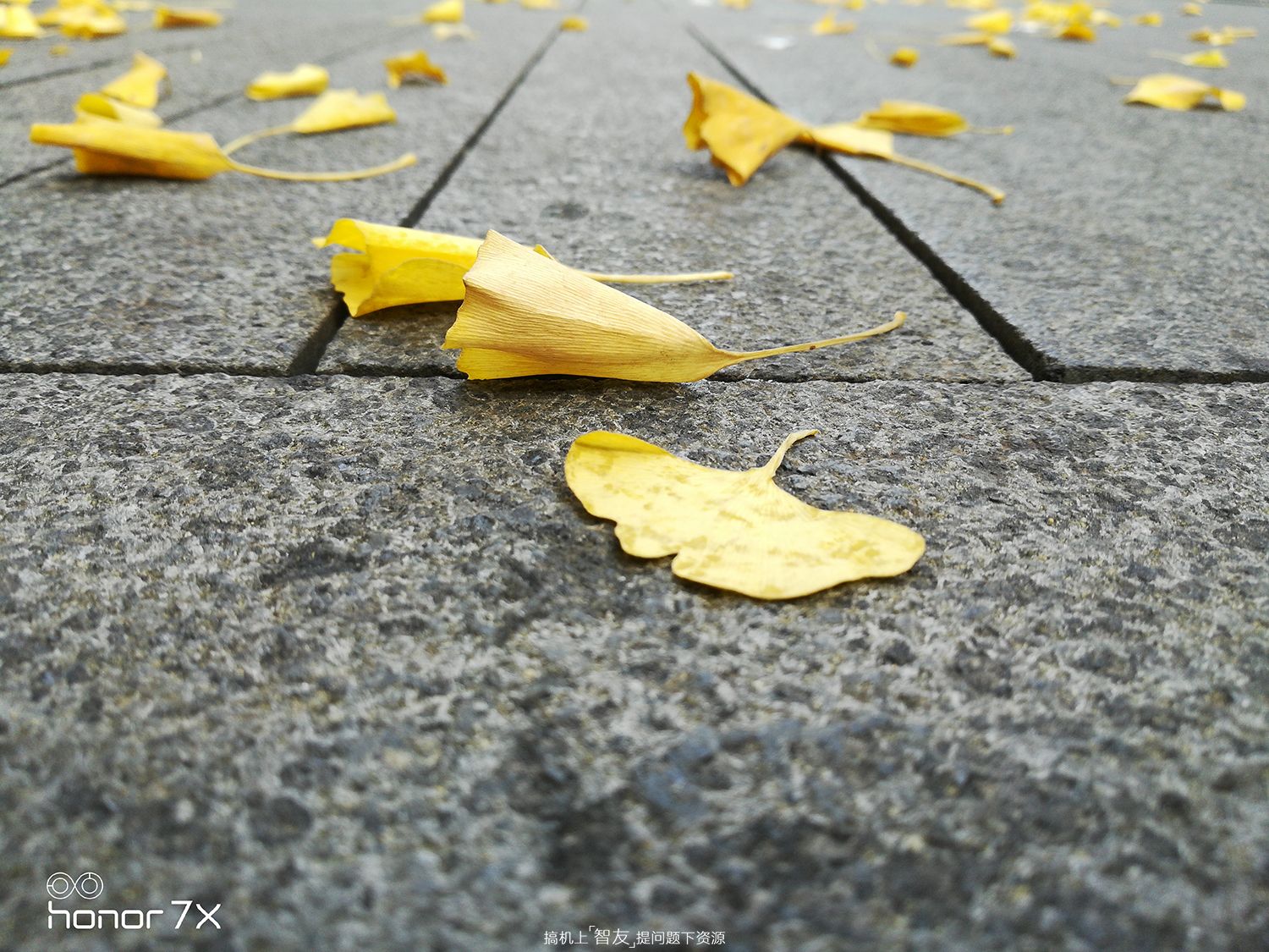 荣耀口碑最好的手机荣耀7x,华为全面屏手机荣耀7x
