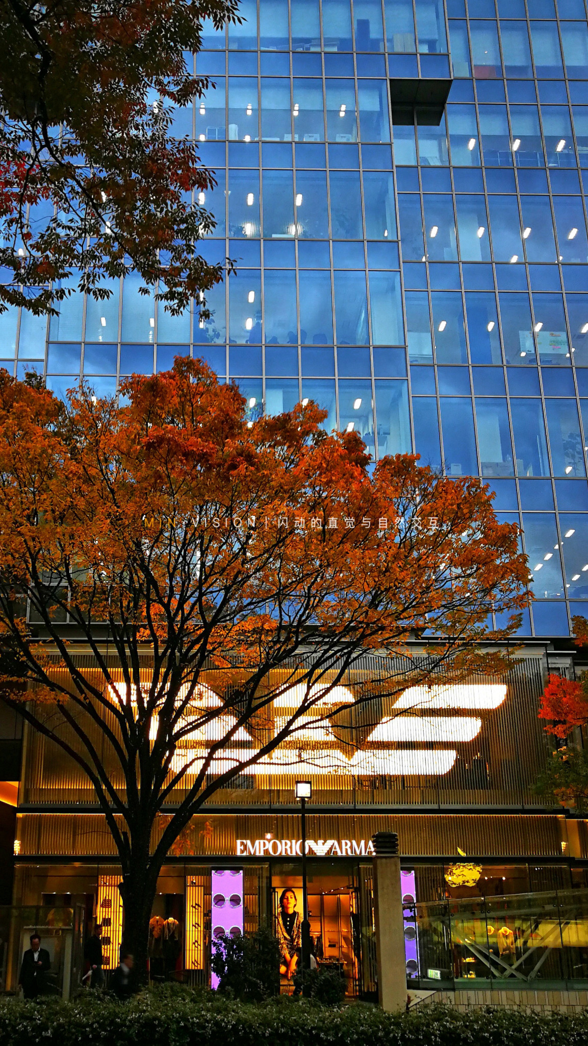 去东京玩用什么攻略,东京攻略东京