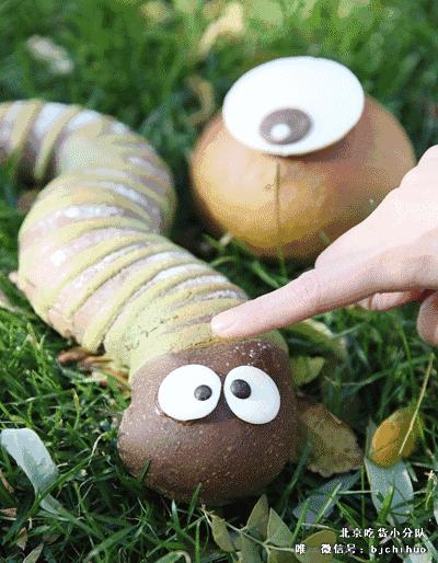 闈㈠寘澶ц禌涓浗鍐犲啗,闈㈠寘澶ц禌鍐犲啗鑺卞紡闈㈠寘浣滃搧