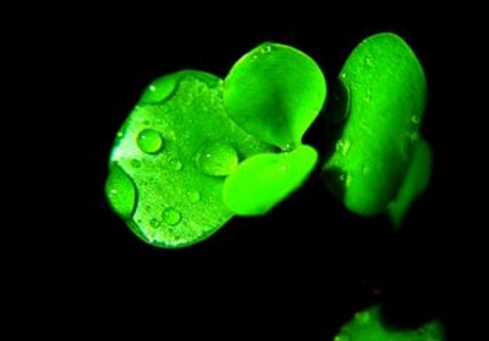 做人一定要提防小人,做人要小心谨慎