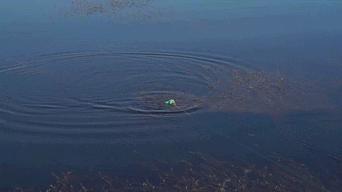 怪兽远征好玩吗,怪兽远征好玩么