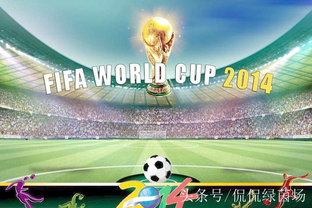 卡纳瓦罗2006世界杯,卡纳瓦罗谈那不勒斯