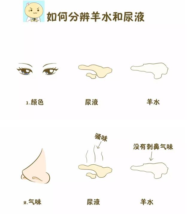 生孩子破水前有什么感觉,分娩前为什么破水