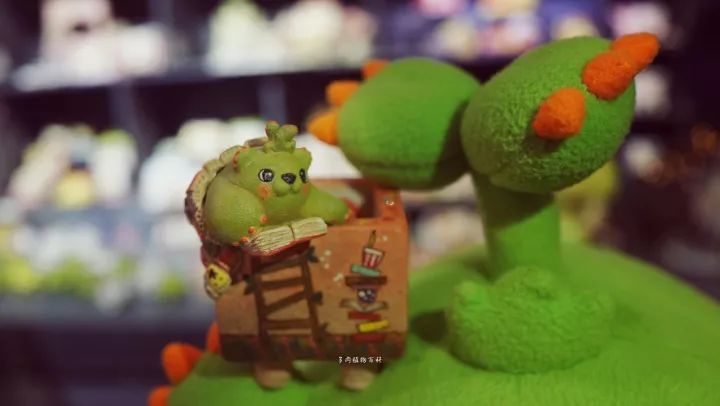 公认最美4种多肉植物图片,2014年上海多肉植物展图片