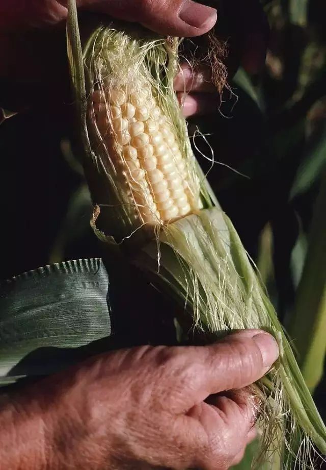 溧阳最美民宿推荐,溧阳绝美民宿