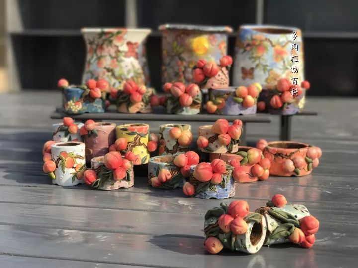 公认最美4种多肉植物图片,2014年上海多肉植物展图片