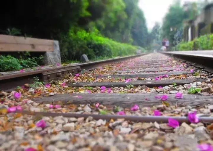 厦门曾厝埯住宿攻略,厦门旅游攻略五天4晚自由行视频