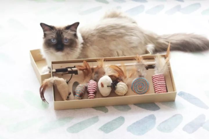 「100家」私藏淘宝店铺大公开，关店了都舍不得删！