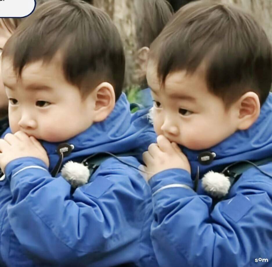 大韩万岁长大视频,大韩民国长大