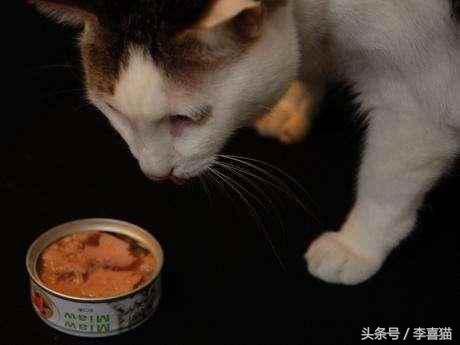 猫咪罐头怎么吃最正确,什么样的猫咪罐头比较好