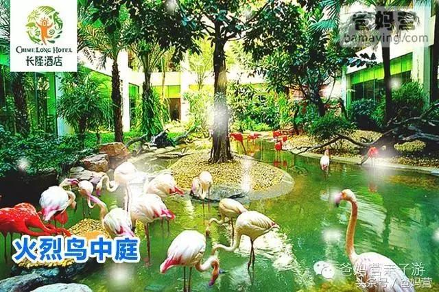 江浙沪十佳亲子酒店,适合亲子酒店推荐