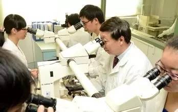 比儿科更缺人！病理人才全线告急