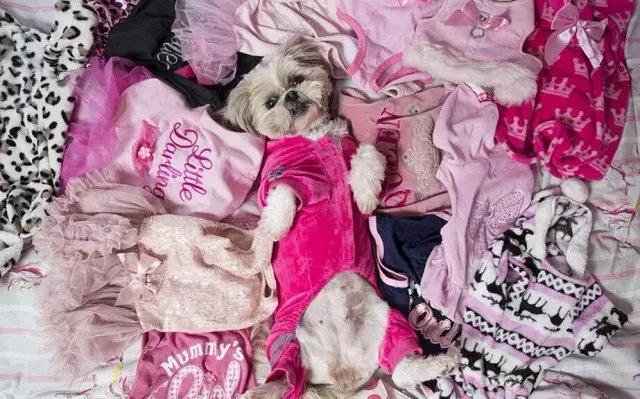 维密背后镜头,维密背后照