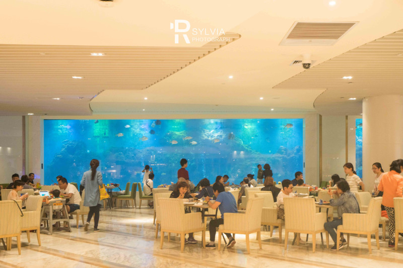 春节去三亚避寒攻略,冬天来三亚避寒