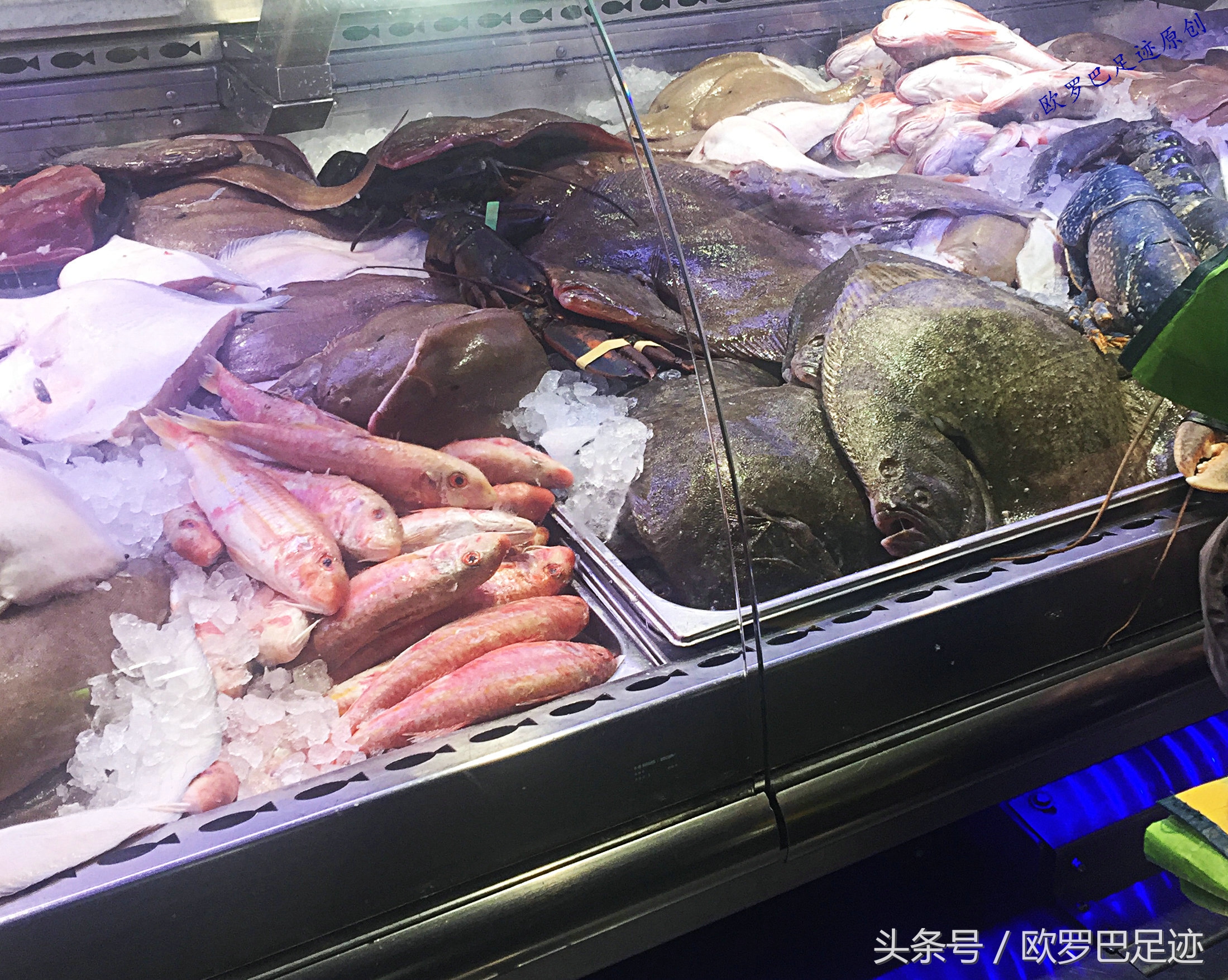 中国厨子邂逅欧洲小镇海鲜市，不认识的鱼炖起来也不手软