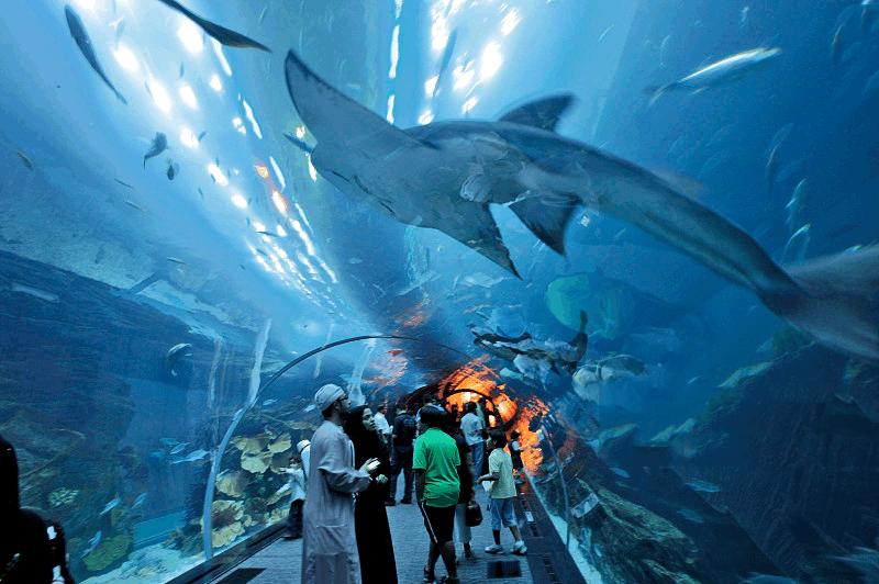 迪拜旅游土豪之旅是什么,迪拜六大世界之最