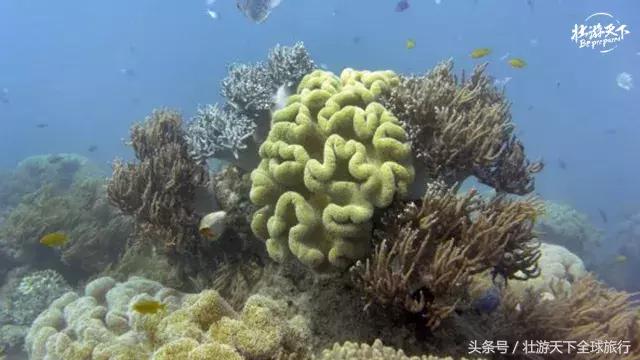 2018一起去旅行吧,2018一起旅行