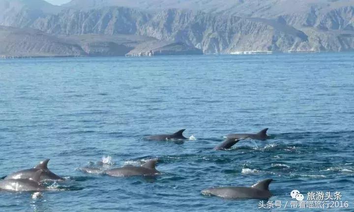 阿曼对中国是落地签证吗,阿曼与中国免签