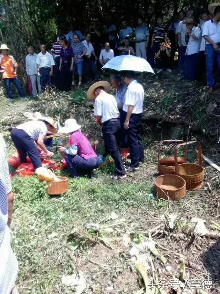 三省五地吴氏建立逸创三郎公宗族机构倡议修缮祖墓