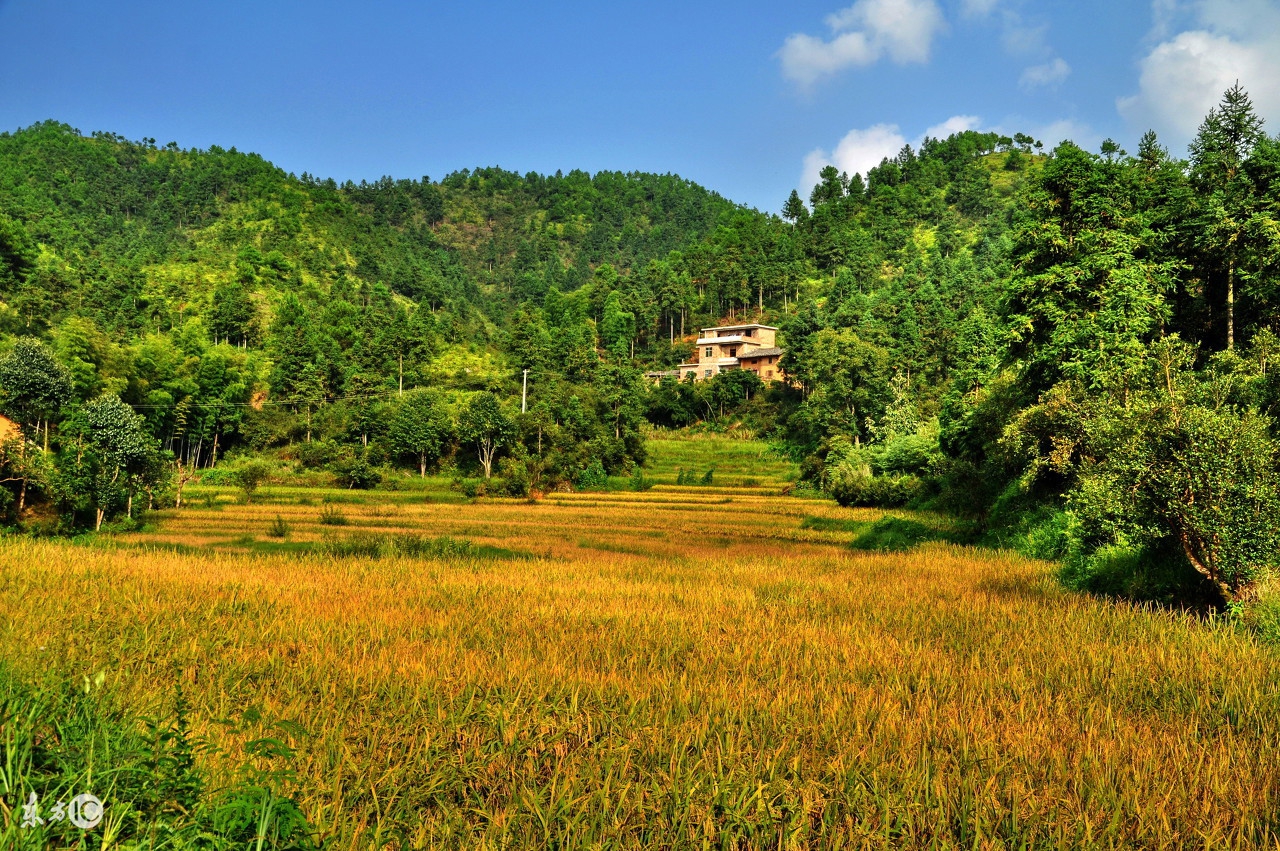 excel批量去除单元格内文字的空格,wps中的excel怎么批量去掉空格