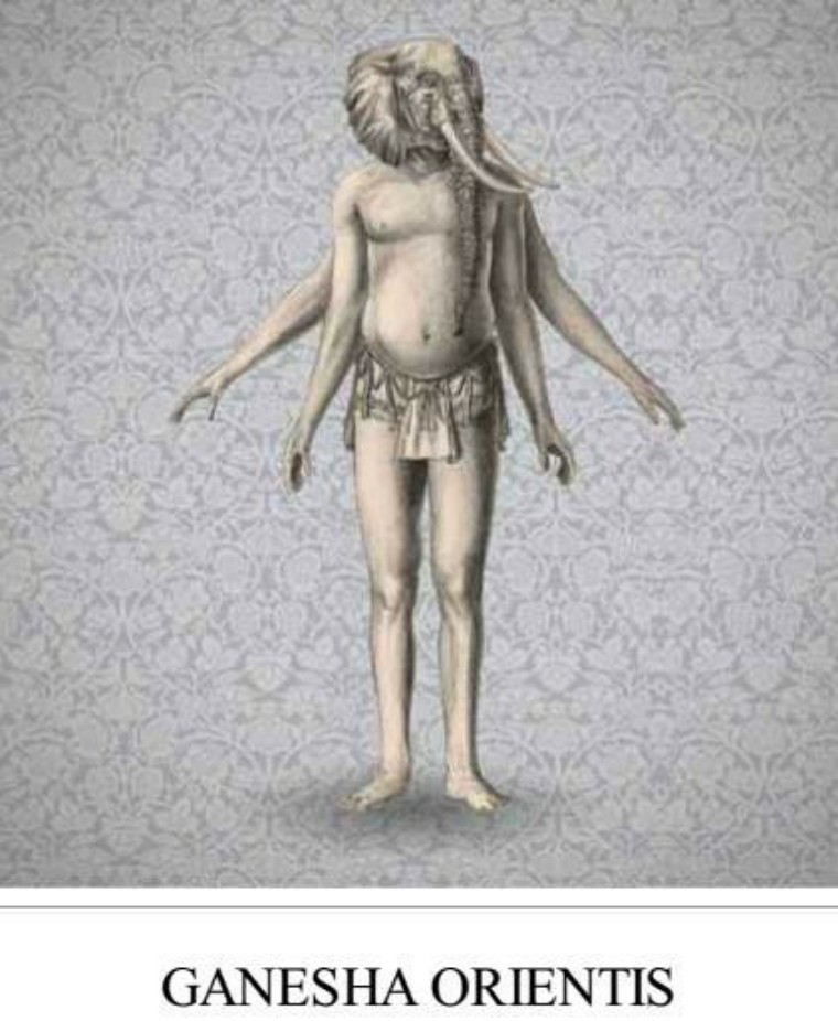 关于解剖美人鱼的电影解说,解剖美人鱼成功视频