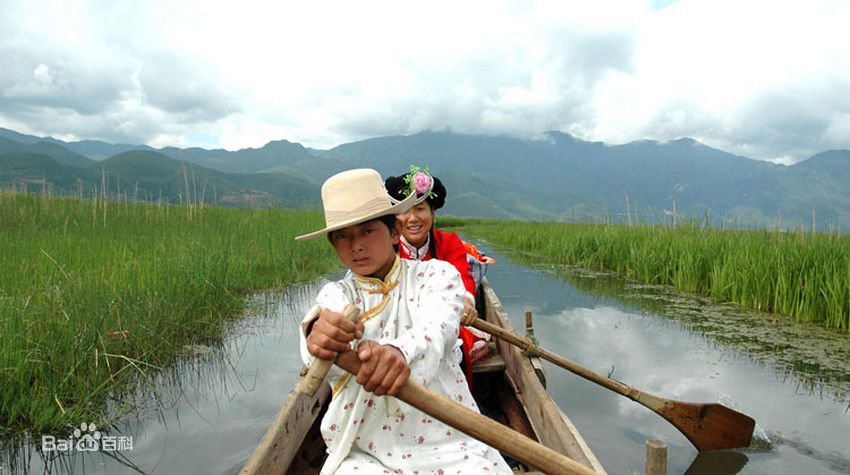 哇哇哇！这里简直美呆啦！