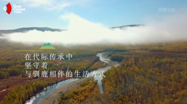 这部轻氧纪录片太震撼《了不起的匠人》之后又一匠心巨制