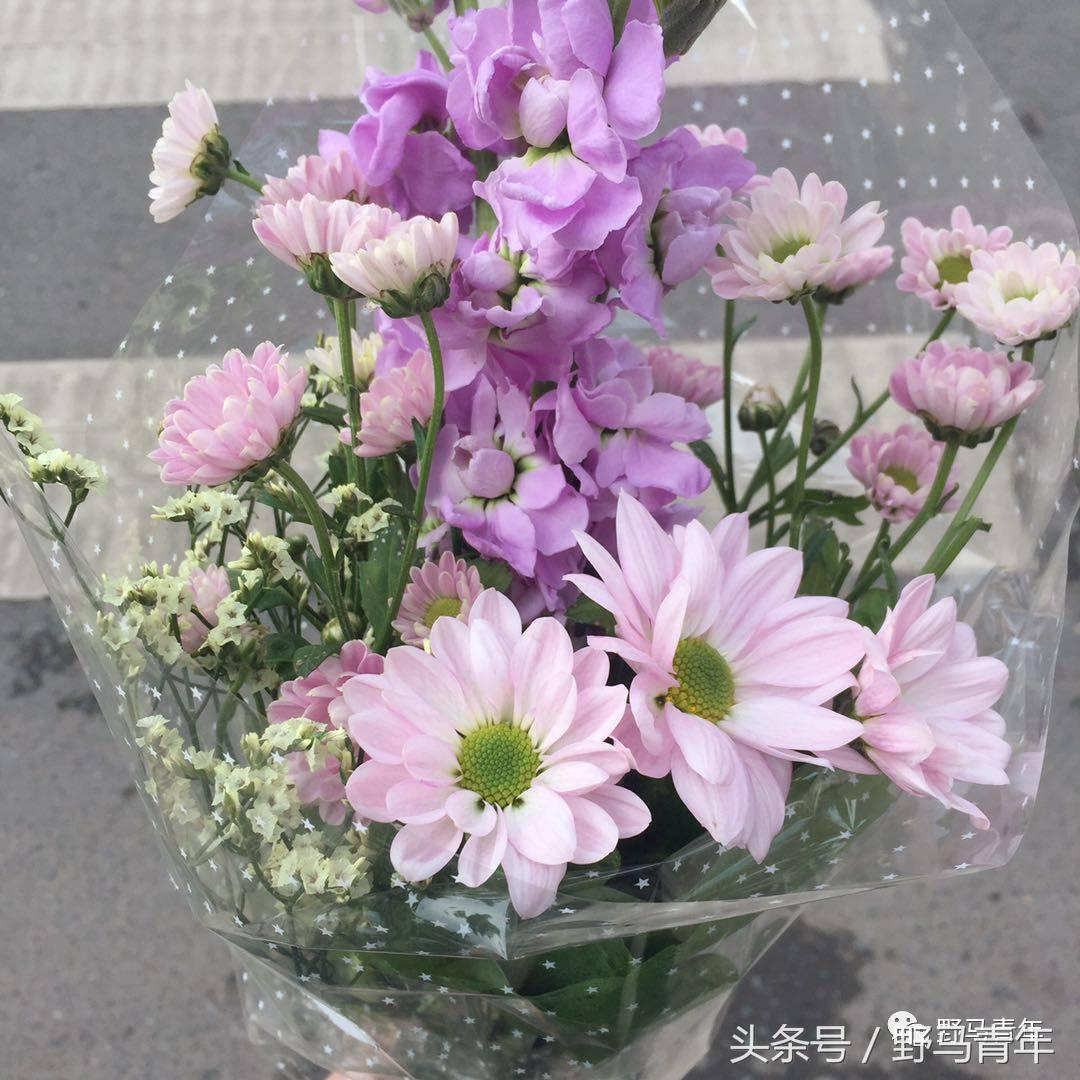 这一年提升幸福感的好物推荐,提升冬天幸福感的物件