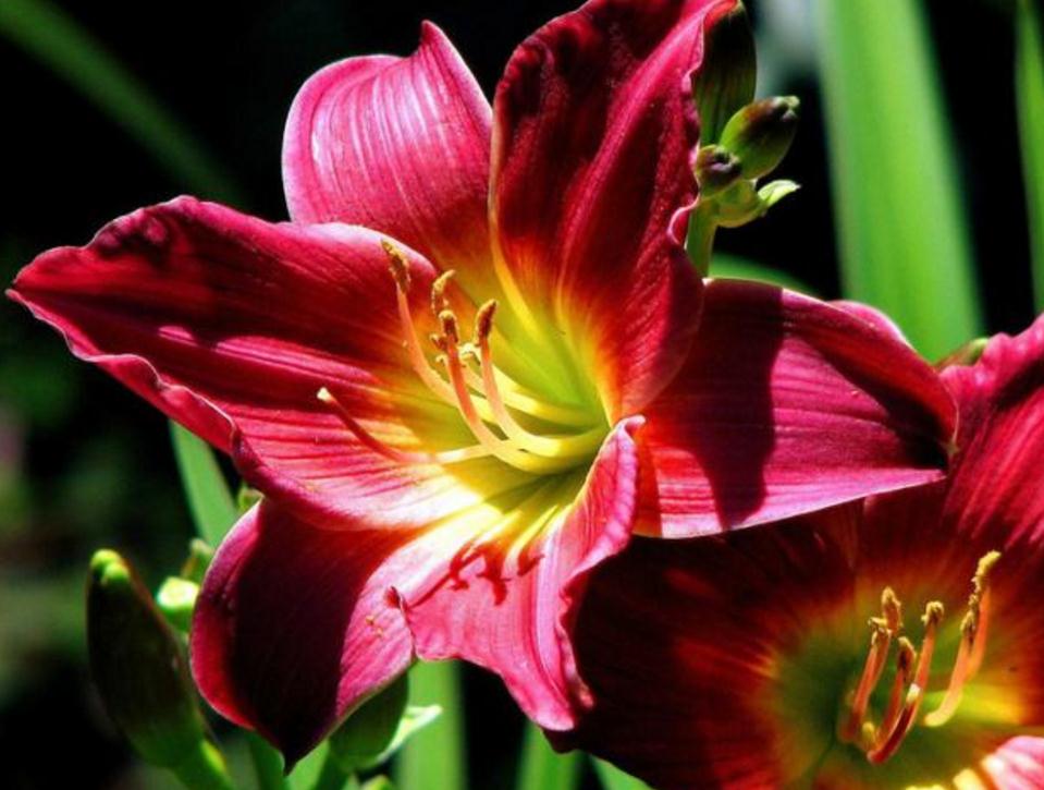 如果你现在很穷一定要做这几件事,在你最穷最困难的时候应该怎么做