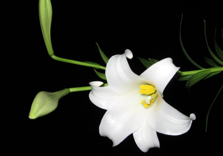 如果你现在很穷一定要做这几件事,在你最穷最困难的时候应该怎么做