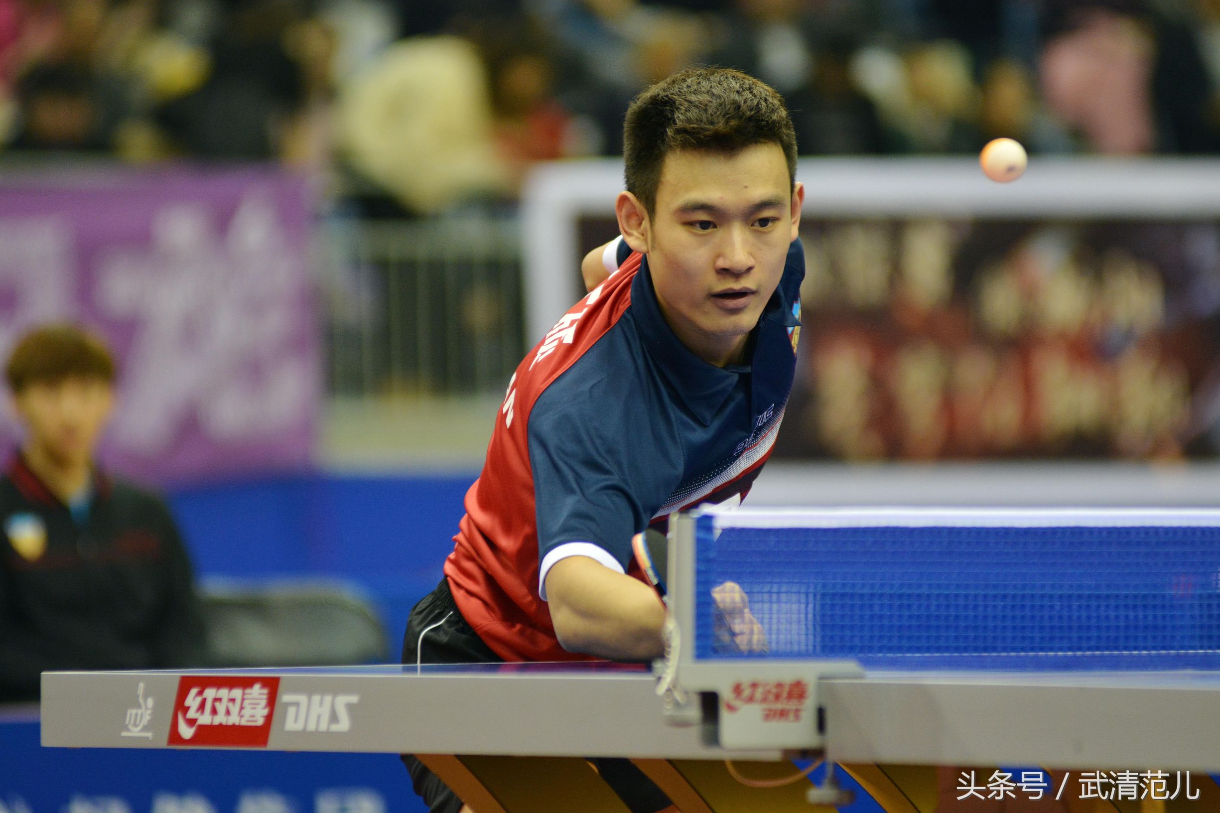 马龙亮相权健,马龙天津权健主场