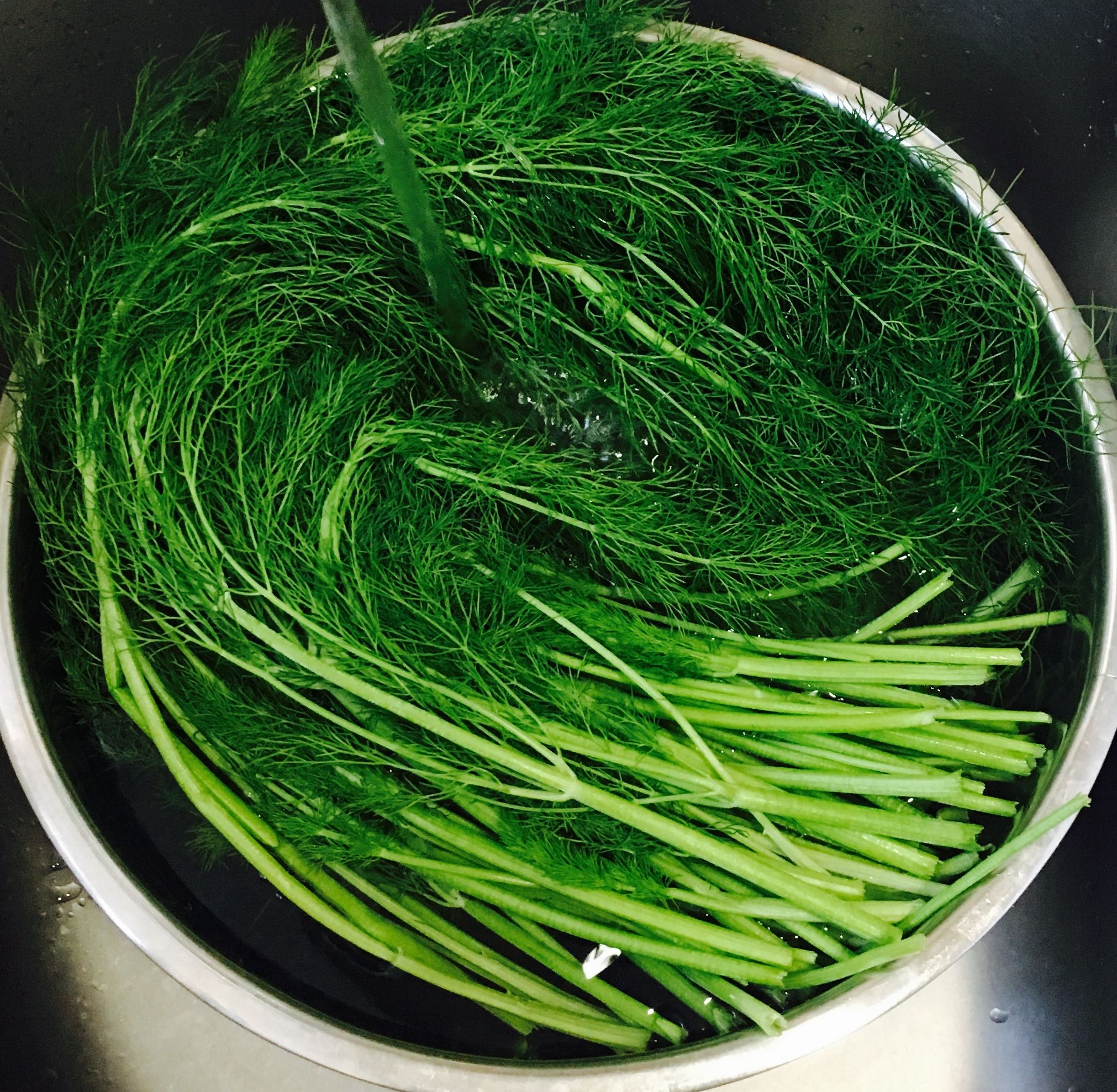 茴香馅儿饺子的做法步骤,茴香馅饺子的做法步骤