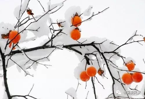 白里透红美颜,白里透红娇颜