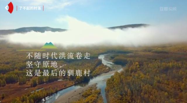 这部轻氧纪录片太震撼《了不起的匠人》之后又一匠心巨制