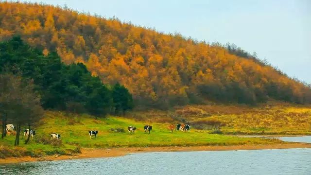 恩施大峡谷七大景点,恩施大峡谷女儿湖美景