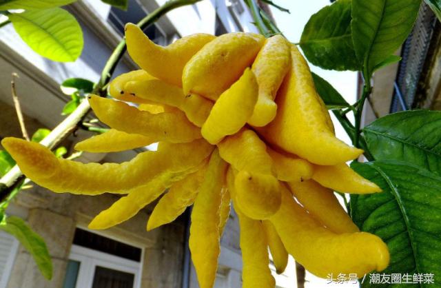 <html>
<head><title>502BadGateway</title></head>
<body>
<center><h1>502BadGateway</h1></center>
<hr><center>nginx</center>
</body>
</html>
<!--apaddingtodisableMSIEandChromefriendlyerrorpage-->
<!--apaddingtodisableMSIEandChromefriendlyerrorpage-->
<!--apaddingtodisableMSIEandChromefriendlyerrorpage-->
<!--apaddingtodisableMSIEandChromefriendlyerrorpage-->
<!--apaddingtodisableMSIEandChromefriendlyerrorpage-->
<!--apaddingtodisableMSIEandChromefriendlyerrorpage-->
