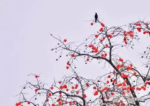 白里透红美颜,白里透红娇颜