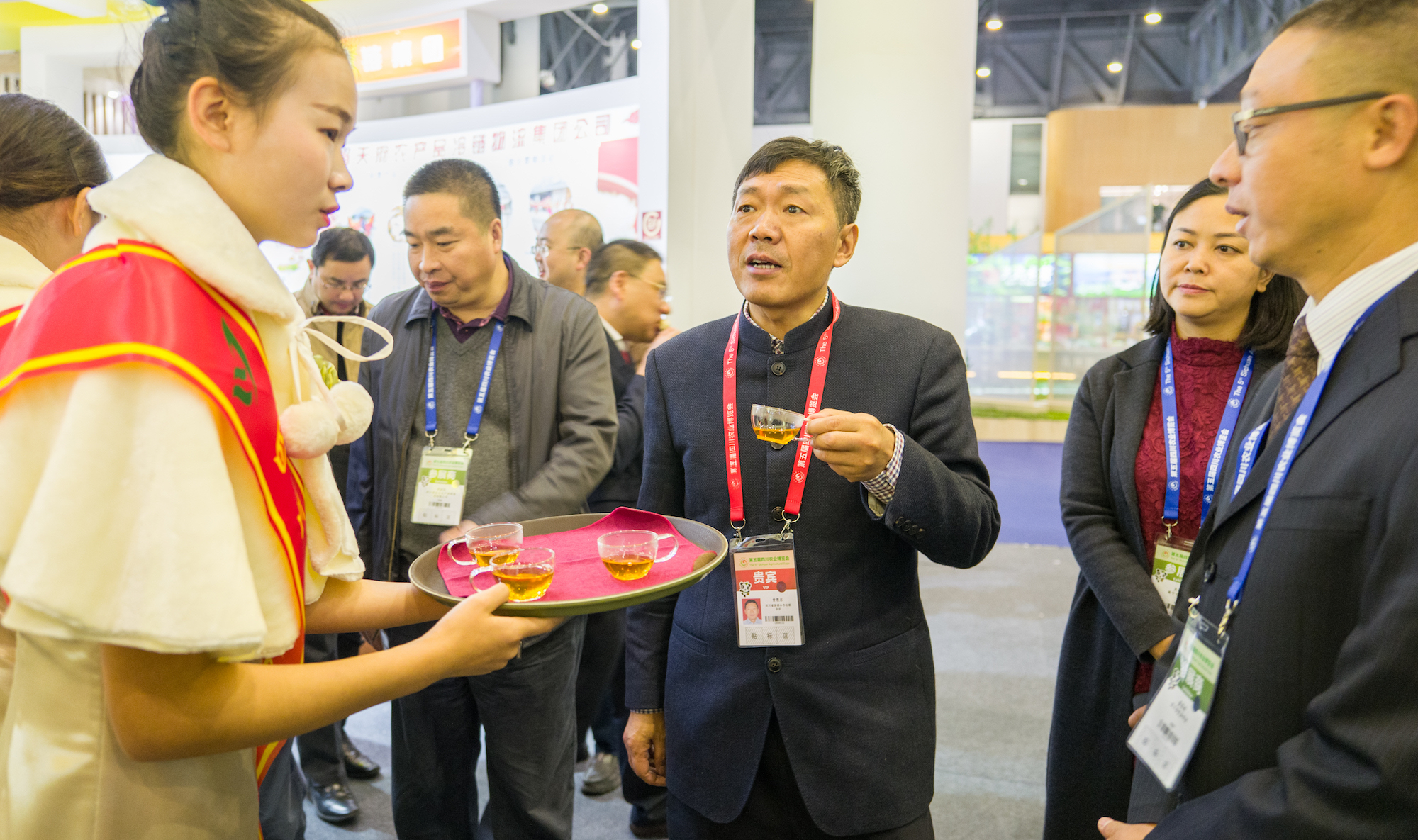 四川成都农博会茶艺表演,生茶茶艺表演