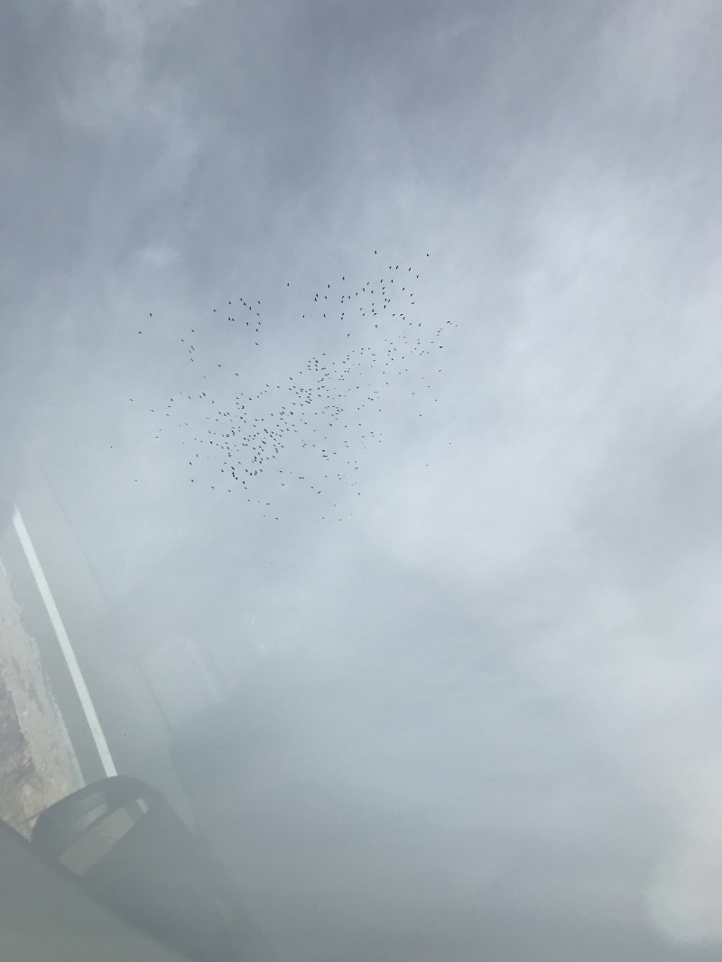 自驾赤峰草原2日,自驾赤峰草原视频