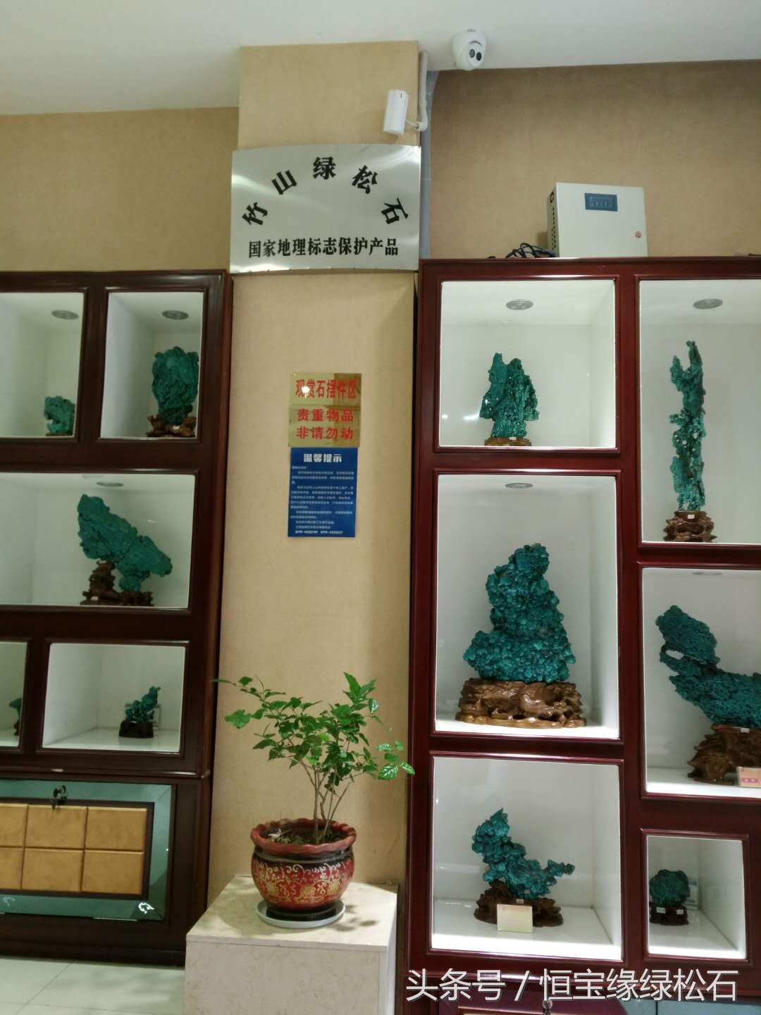 5000一克绿松石,五年的绿松石